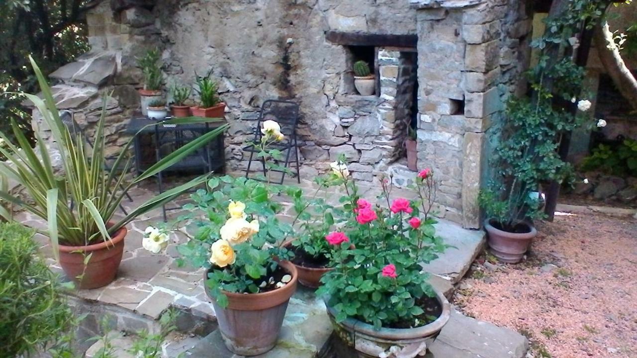 Al Museo Bed & Breakfast Ponte dell'Olio Luaran gambar